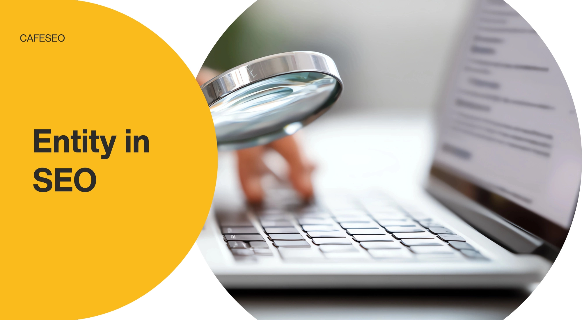 Entity در سئو
